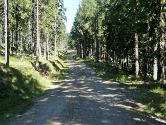 Anreise Straße zum Hotel Binder Mönichkirchen
